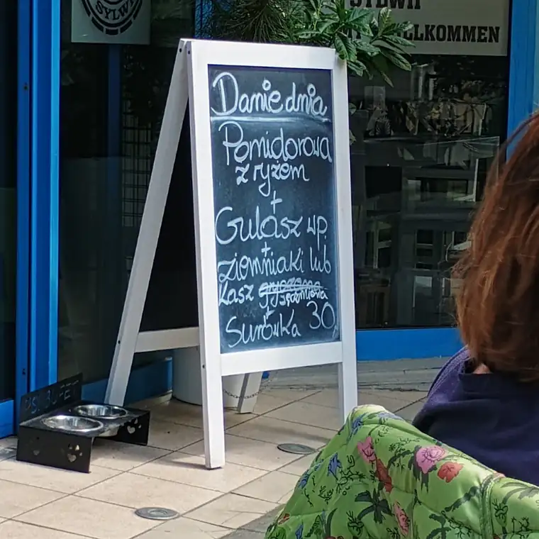 Tablica z daniem dnia przed niebieską witryną baru